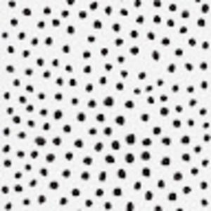 Meet your Posher, Charli